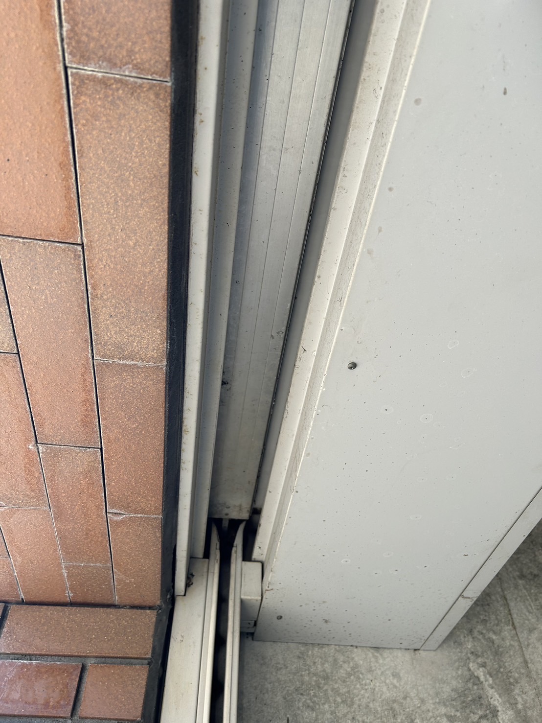 シャッター画像