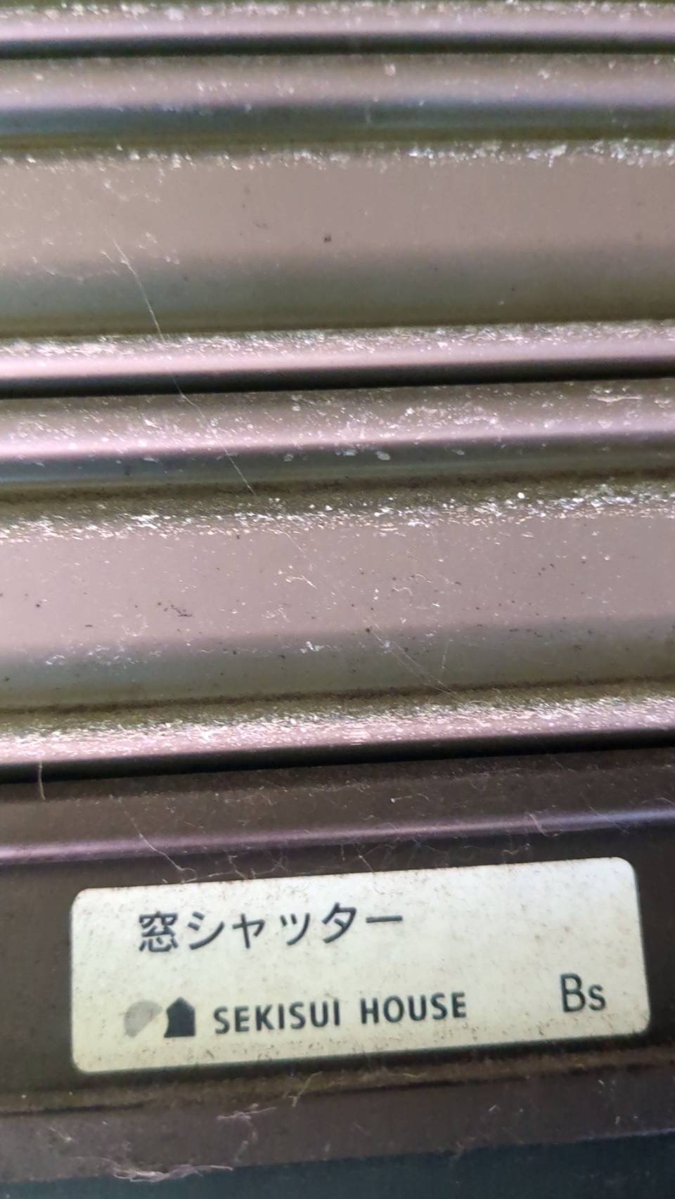 シャッター画像