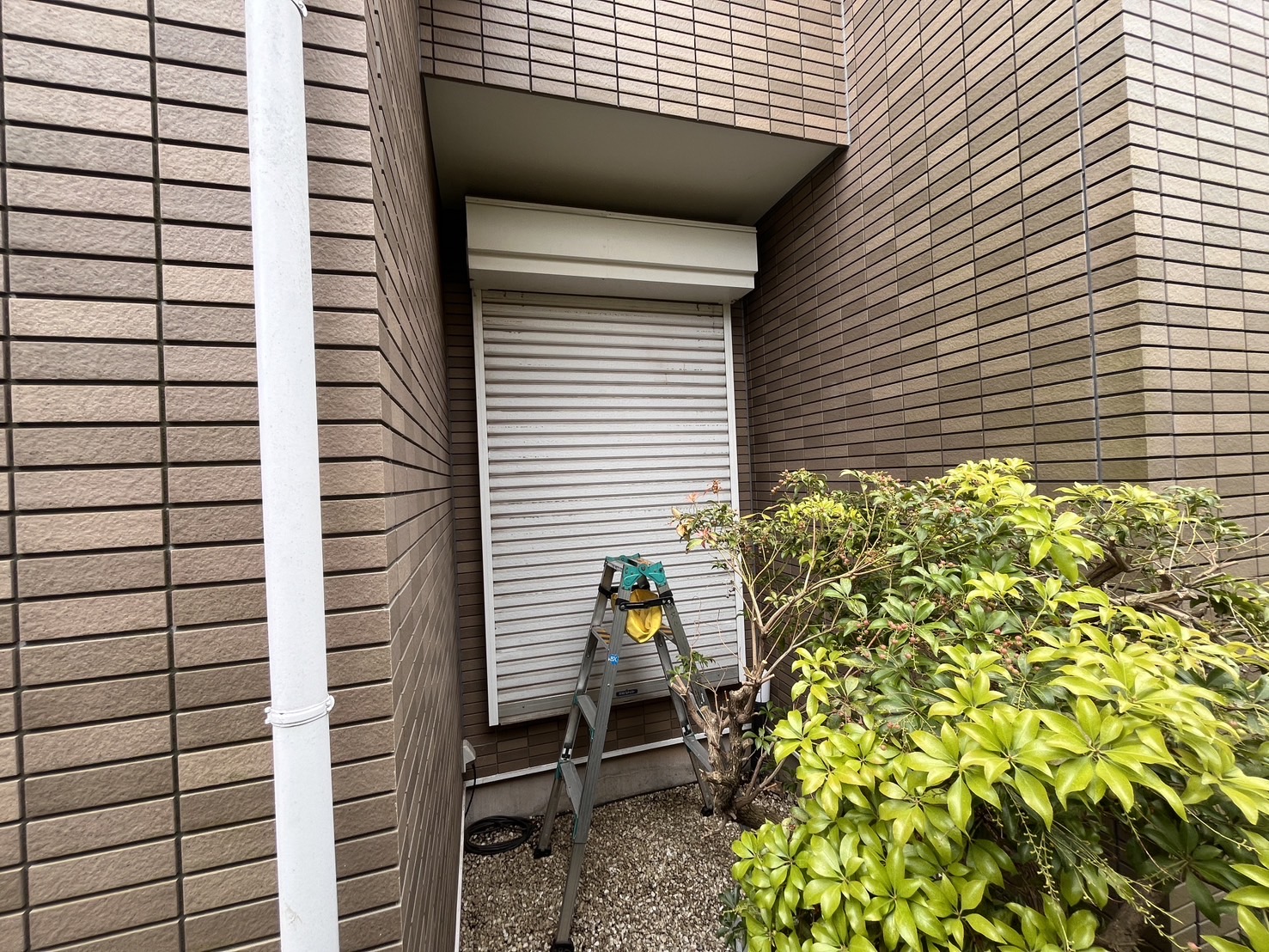 シャッター画像